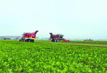 Des chantiers optimisés, avec les derniers matériels présentés par les constructeurs. Sur quatorze chantiers présentés par sept constructeurs (Franquet, Gilles, Grimme, Holmer Exxact, Ropa, Vervaet et JPS Soyez), onze étaient réalisés par des intégrales dont le développement se poursuit : elles représentent désormais plus de 50 % du parc en activité. Ces deux journées du salon de la betterave aux champs se sont déroulées la majeure partie du temps sous le brouillard.