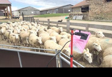 Toutes les boucles électroniques seront bientôt lues en un seul passage.