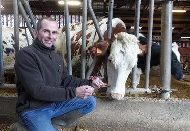 Didier Leleu soigne trois mammites sur quatre grâce à l’homéopathie.