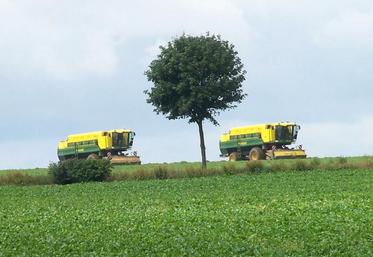 Les 1 248 entreprises de travaux agricoles et ruraux présentes dans les Hauts-de-France emploient 8 050 personnes.