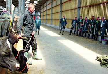 Apprendre à correctement bloquer l'animal.