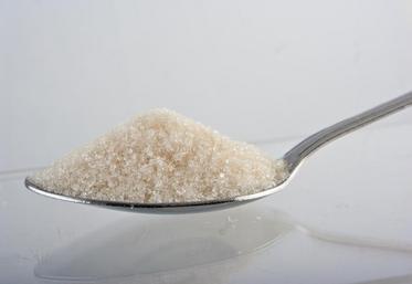 Le secteur du sucre est le plus inquiétant : «Il y a peu de signes de reprise du marché européen», a souligné Phil Hogan.