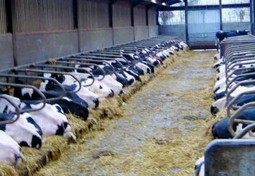 Un repos optimal dans les logettes.