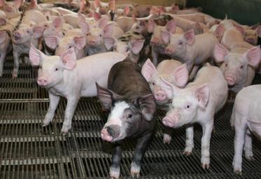 Même si l’embargo était levé, la Russie ne serait plus tributaire des importations venant d’Europe, qui soutenaient les prix européens.