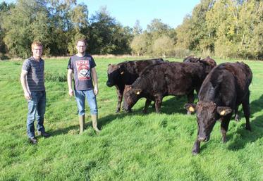 Alexis Merlot et Antoine Roussel : «c’est une race originaire pour faire de la vente directe».