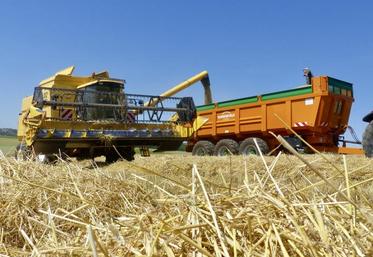 Les premières bennes d’escourgeons livrées sont plutôt encourageantes.