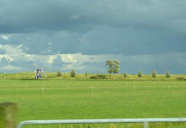 Pays-Bas, Danemark, Suède et Autriche continuent à s’opposer en bloc aux autres pays membres de l’Union européenne.