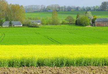 Cette année, les DPU sont réduits de près de 6%, soit quasiment le double des années antérieures.