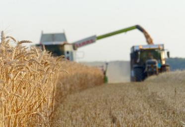 Les stocks de blé sont prévus à un niveau record de 283 Mt fin 2020-2021.