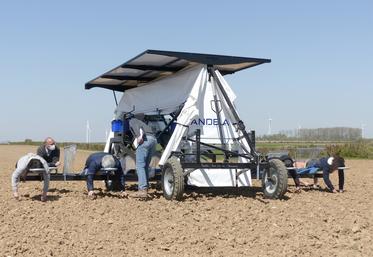 Les 54 saisonniers retenus ont participé à une journée d’essais sous l’œil attentif de Fabien Deguehegny, un des associés de la SCEA Biosources.  Premiers «vrais» désherbages prévus mi-mai. 