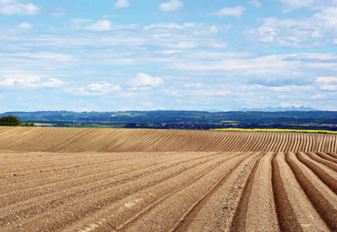 L’inscription des terres au bilan d’exploitation peut-être un atout fiscal, à ne pas négliger.