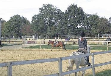 L’administration précise enfin que le droit d’accès aux installations à caractère sportif des activités équestres (manège, carrière, parcours, écurie et équipements sportifs) bénéficie du taux de TVA de 5,5 %. 