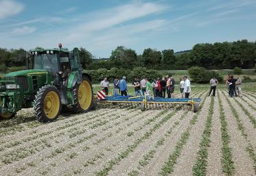Plusieurs essais de désherbage ont donc été menés en région par des conseillers spécialisés. 