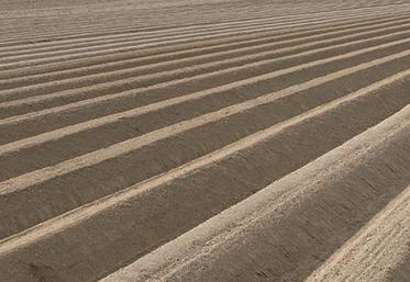 Cette année, il est nécessaire d’estimer au plus juste la dose prévisionnelle d’azote à apporter car chaque unité  apportée compte.