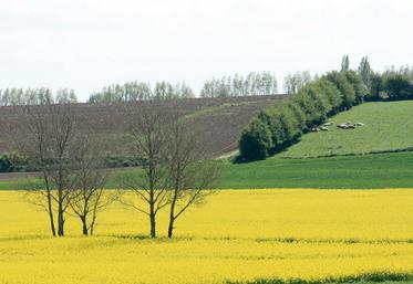 La Commission estime que la croissance de la productivité est la clé du maintien de la compétitivité et de l’augmentation des revenus agricoles, tout en tenant dûment compte de l’impact positif sur l’environnement et le climat. 