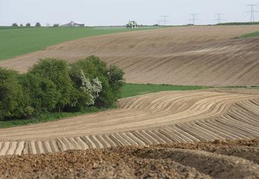Avant de choisir sa stratégie de désherbage, il est essentiel de connaître le sol et la flore à venir de sa parcelle.