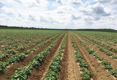 Ces dernières années, notre département a traversé des météos très contrastées, il est donc important d’observer les rendements sur plusieurs années. 