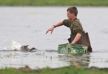 Des échanges constructifs entre la Fédération nationale des chasseurs et le ministère de l’agriculture ont permis d’assouplir les règles d’utilisation des appelants en cas de grippe aviaire.