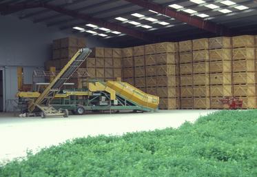 Depuis 2019, un consortium réunissant l’interprofession de la pomme de terre, les Chambres d’agriculture, la FRSEA  et le Conseil régional Hauts-de-France alerte les pouvoirs publics sur les difficultés liées à l’arrêt de l’utilisation du CIPC pour le stockage des pommes de terre. 