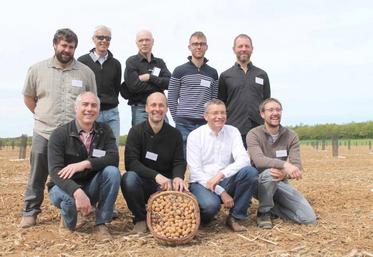 Le collectif produira de la noix de variété Fernor, d’ici cinq à six ans. 