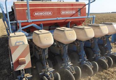 Plus on se dirige vers une date de semis tardive dans le mois d’août, plus il faudra être réactif pour saisir les fenêtres climatiques favorables et actionner les autres leviers.