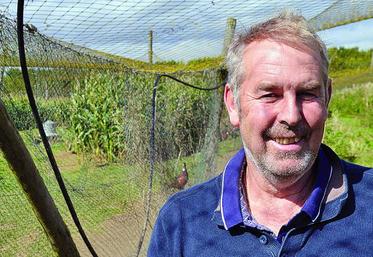 «Pour en vivre, il faut faire une belle quantité».