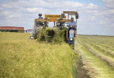 Les arrachages de lin ont débuté le 22 juin et devraient se terminer vers le 20 juillet si les conditions météos restent 
au beau fixe.