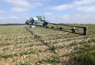 L’utilisation de produits phytopharmaceutiques a globalement augmenté depuis le lancement du plan Ecophyto en 2009.