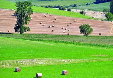 Ne pas oublier de déposer la demande de dégrèvement d’impôt sur le foncier non bâti.