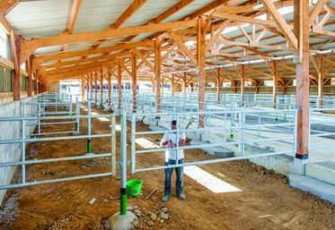 L’élevage : priorité du Pcae.