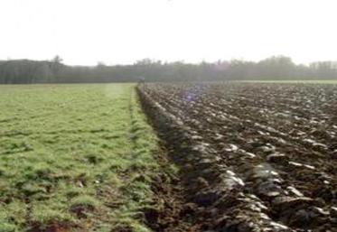 Le retournement d'une parcelle en nature de pré est soumis à notification au bailleur, celui-ci peut s'y opposer dans les quinze jours devant le TPBR.