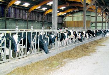 La nouvelle politique agricole commune apparaît «à la carte, complexe et transitoire». Telle est la principale conclusion 
de la journée organisée par la Confédération nationale de l'élevage et l'Institut de l'élevage sur la mise en œuvre de la PAC chez les ruminants.