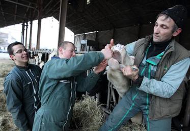 Les formations agricoles sont nombreuses dans la région et offrent des débouchés très diverses.