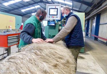 Vincent Delaporte (à dr.) : «En décembre, nous attaquerons la récolte 2020, et nous savons déjà que nous allons mouiller la chemise pour un résultat médiocre !»