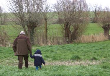 Parfois oubliés ou mal considérés, les arbres à trogne sont en fait des éléments majeurs du bocage pour leurs utilisations multiples et la biodiversité qu’ils abritent.