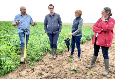 Jean-Paul Dallene (à g.) bénéficie du suivi du service agronomique de McCain pour le pré-buttage d’automne des pommes de terre. «Seul, je n’aurais pas avancé aussi vite», confie-t-il.