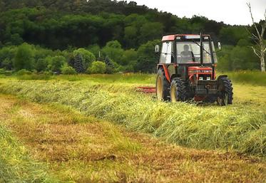 Le changement de régime sur la gestion des prairies pourrait tenter certains agriculteurs à ne plus les consacrer à la seule production de fourrage.