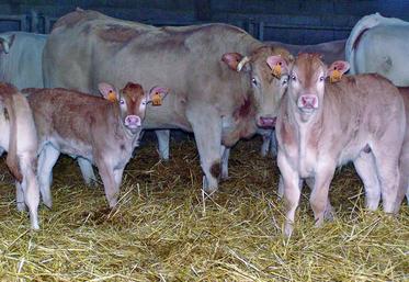 Si votre exploitation a été modifiée depuis le 15 mai 2013, vous devez envoyer à la Ddtm un formulaire spécifique de demande de transfert de référence.