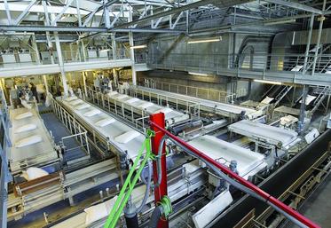 Le prochain bulletin FAO sur l’indice des produits alimentaires mondiaux paraîtra le 6 avril 2017.