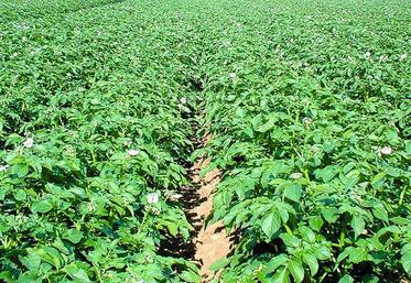 Mileos permet de bien percevoir les périodes de forte pression afin de limiter les risques en positionnant le bon produit au bon moment.