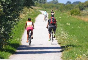 Piste cyclable en Baie de Somme.