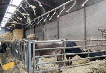 Jean-Louis Billon a installé il y a dix-huit mois deux robots de traite Delaval,  le modèle 310. Ils permettent à l’exploitation d’optimiser le temps de travail. 