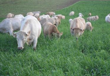 Les épisodes de sécheresse se répètent et il faut penser à semer des dérobées pour les donner en enrubannage l’été suivant. 