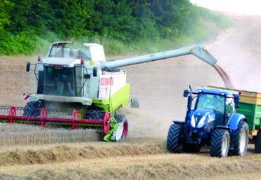 Les résultats de cette récolte sont «assez mauvais», commente Eric Bridoux de Cap Seine, «pire que ce que nous prédisions», annonce David Favier, directeur de Calipso.