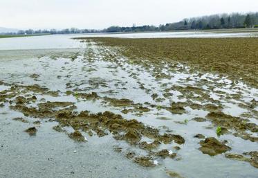 De nombreuses productions ont été fortement endommagées par les épisodes de pluies diluviennes et de grêle.
