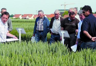 Des essais pour conseiller les meilleures solutions à chacun des agriculteurs.