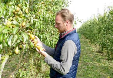 La surveillance est d’autant plus pointue en gestion écoresponsable du verger.