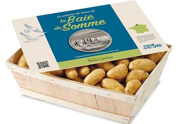 Après trois années d’expérience, Henri Poupart maîtrise la culture de la pomme de terre nouvelle de la Baie de Somme dans ses terres sableuses. Il en a produit 6 ha cette année.