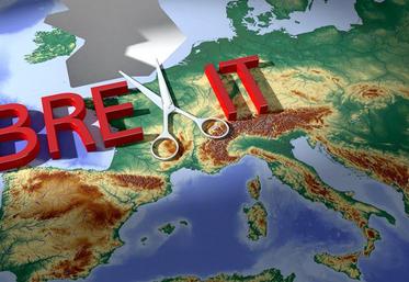 Désormais reportée au 31 janvier 2020, la date d’entrée en vigueur du Brexit a déjà fait l’objet de deux reports.