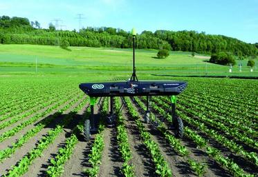 Le robot d’Ecorobotix travaille sans conducteur, ni opérateur.